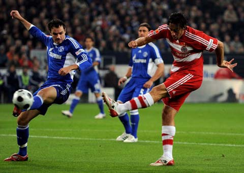 這些球員的 這些球員的